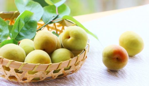 はじめの漢方：同じ「梅」でも効果が変わる！薬膳で読み解く体調に合わせた「梅」の使い方